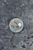 Bristol Geese Pinback Button