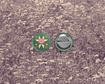 Quilt Star Button