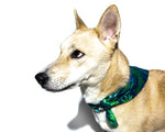 Bristol Rhythm and Roots Bandanas