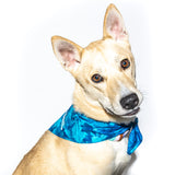 Bristol Rhythm and Roots Bandanas